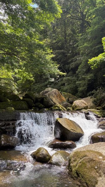 戲水（鴛鴦2786721