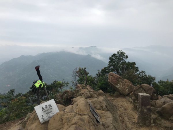 雨後的五寮尖山、水晶蘭、遊隼孵育2123199