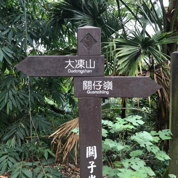 大凍山、雞籠山環行1076516