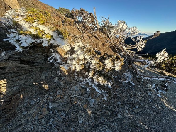 2024/12/20~12/22 帶76歲爸爸補考被山陀兒颱風趕下山~未竟的南玉山，2024完成玉山2675151