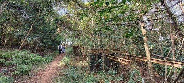 2024/12/28-蓮華山古道群：飛龍步道、進香古道、採茶古道、載熙古道2678900