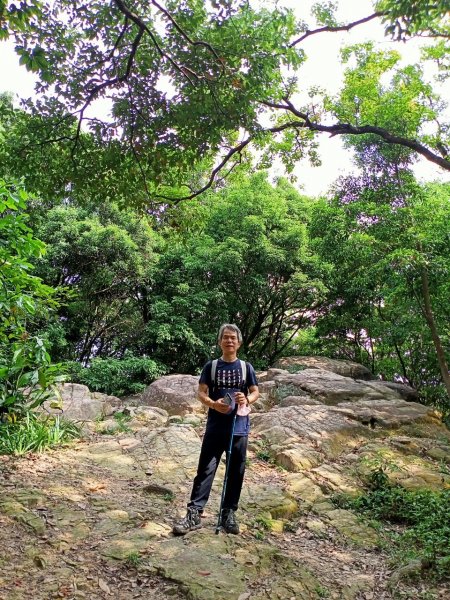 外南勢角山(國旗嶺)-圓通寺環山步道1700452