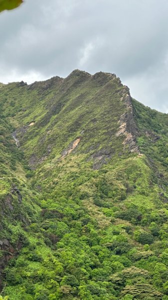 劍龍稜202510172920303