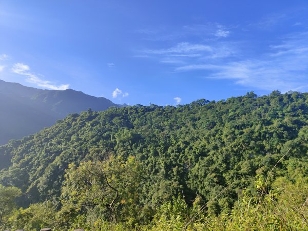 龍頭山步道2371710