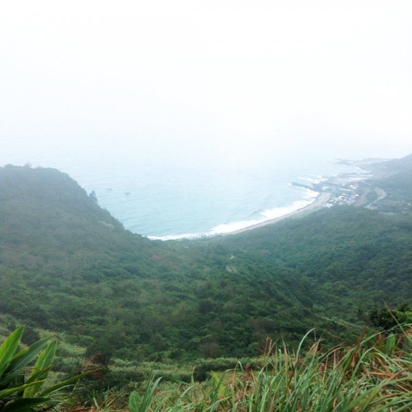 迷霧中的芒花海【草嶺古道】454053