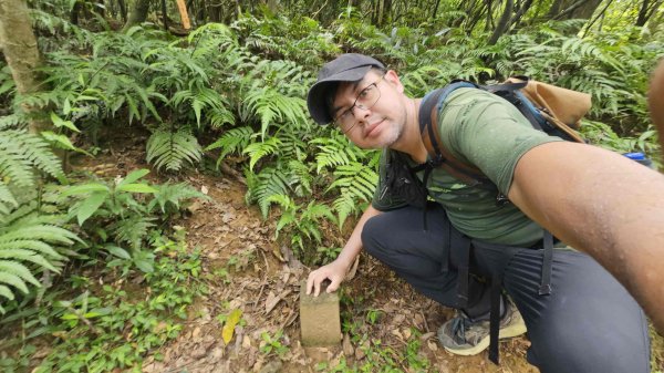 20250625遠望坑口-遠望坑崙-176峰-陸軍路礦864-遠望坑山O型2826169