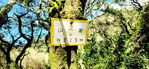 【中級山】台北版抹茶山竟然有免申請路線，小觀音山西峰單攻，順遊頂湖海芋步道，竹子湖黑森林2742405