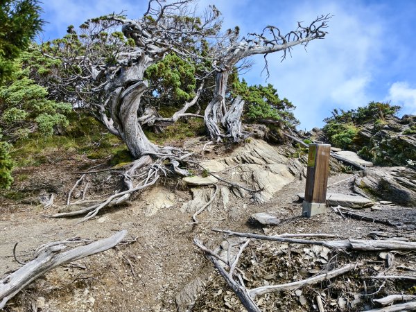 北一段(11/14)南湖北峰 2025_0906~132887351