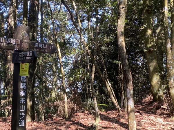 鳶嘴山捎來國家步道3060300