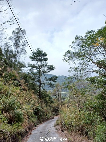 【南投國姓】兩個女生的山野包山行。 眉冷山步道x梅島山x眉冷山2066642