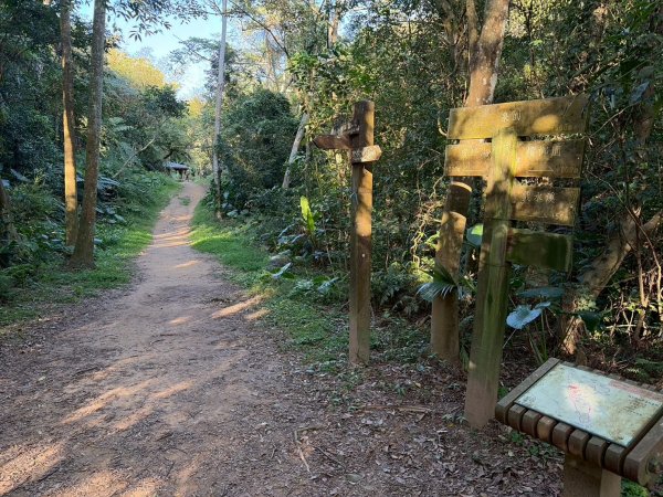 新北 林口 森林步道3015280