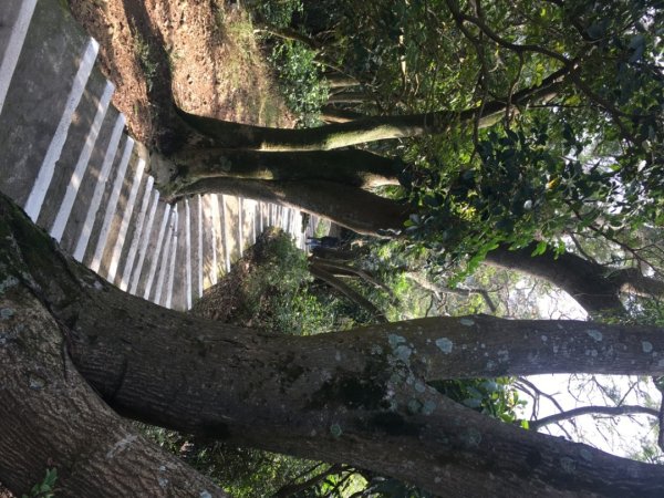 五酒桶山、南崁山2693339