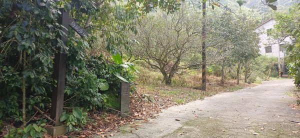 竹子尖山.台南楠西2879643