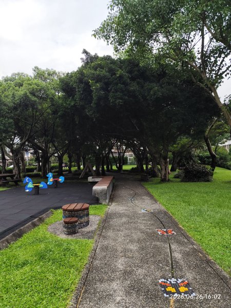 內湖瑞光公園3083339