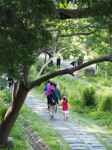 《台中》龍井竹坑南寮登山步道O型915482