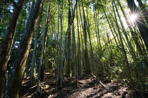 新竹 五峰 清泉山、民都有山2633702