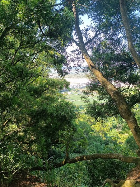 三義火炎山2875819