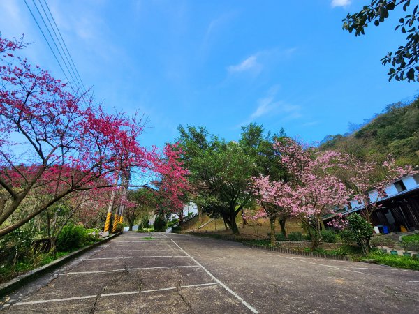 小百岳集起來-汐止大尖山2180986