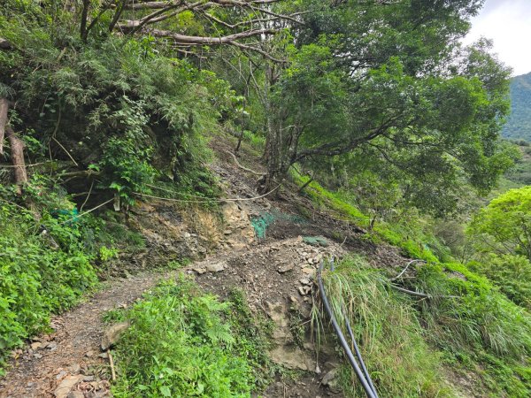 觀高山屋／龍貓公車／八通關山／八通關山西峰2927370