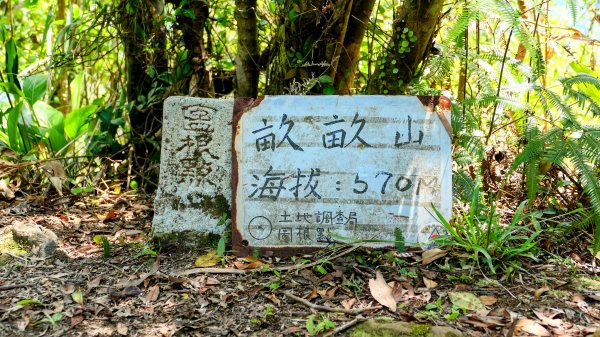 畝畝山。又上說