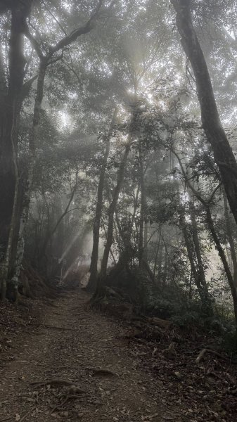 20260101小百岳馬那邦山賞楓團2973980
