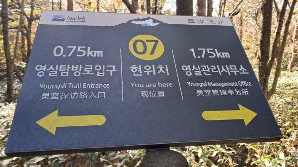 濟州島漢拏山-靈室路線上2942623