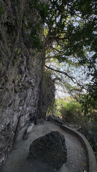 尋仙、鑽洞、啖肥雞3002772