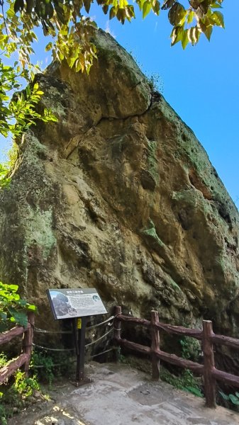 叮叮叮：一個人的微笑山線😊2917416