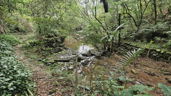 20260324福卯古道北段-萊萊越嶺古道-萊萊山腰古厝群3026826