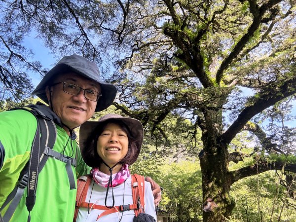 塔塔加楠梓仙溪林道 202506222827102