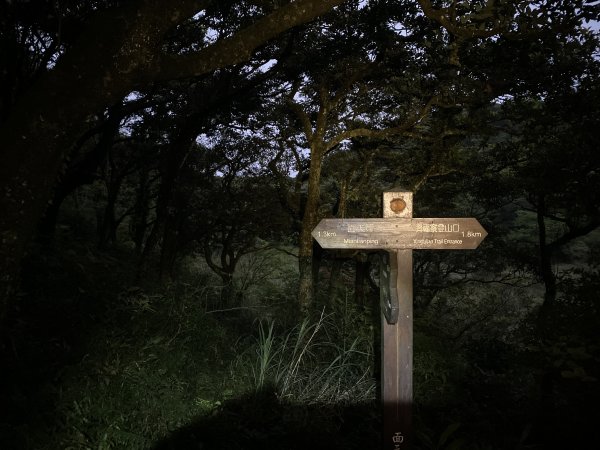  【台北登山一日十連峰】陽明山東西大縱走1075831