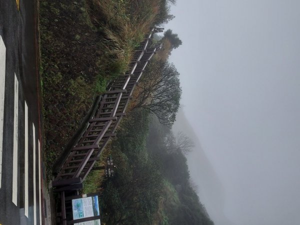 小油坑～七星山～冷水坑～擎天崗1940750