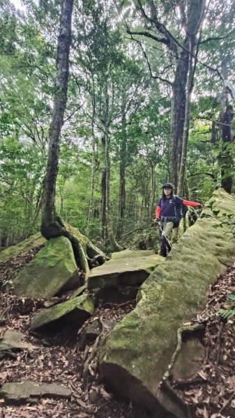 大混李棟重訓2883610