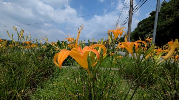 114.08.09溪洲山-新溪洲山之旅2856780