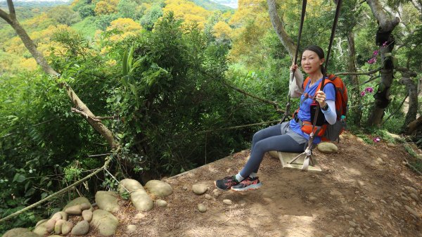 大肚萬里長城步道登山健行趣