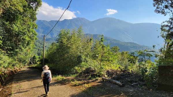 【中級山】插天山的奇幻世界，赫威山，赫威神木群步道2741308