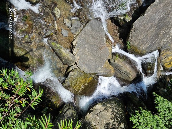 福山大羅蘭溪>古圳步道>黃金水岸2858967