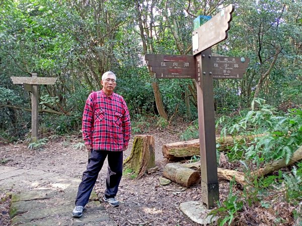 【臺北大縱走 4】大崙頭山北面步道1249609