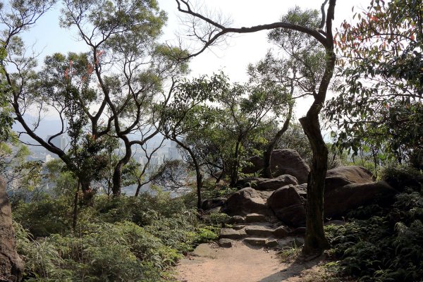 金面山。九蓮寺523749