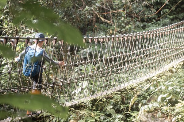 馬胎古道 （馬胎一期、南坪古道、內灣老街）3073792