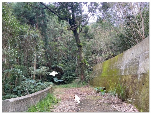 南庄山 (苗栗、南庄)2734576