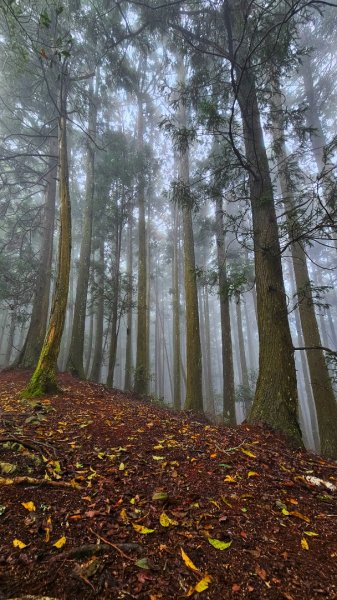 112.04.08 油羅山2123591