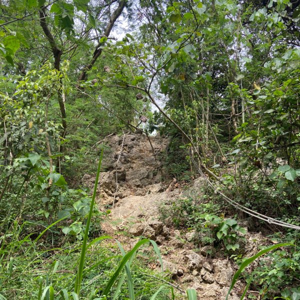 柴山，一年四季3085756