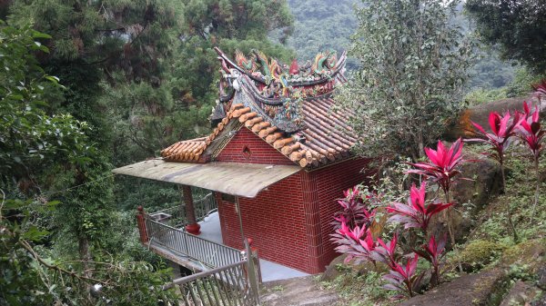 獵貍尖步道連走烏塗溪步道登山健行趣(淡蘭南路TK3-6&TK3-5&TK3-4)2404523