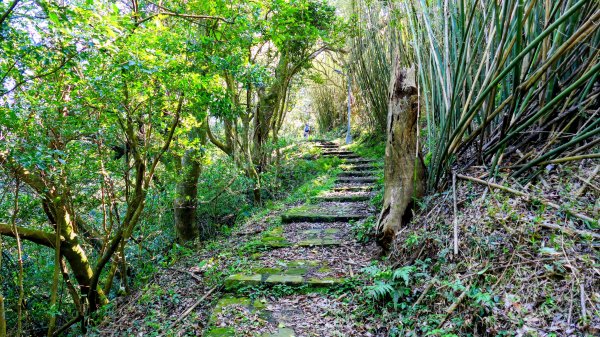 經營時間的早餐店2993557