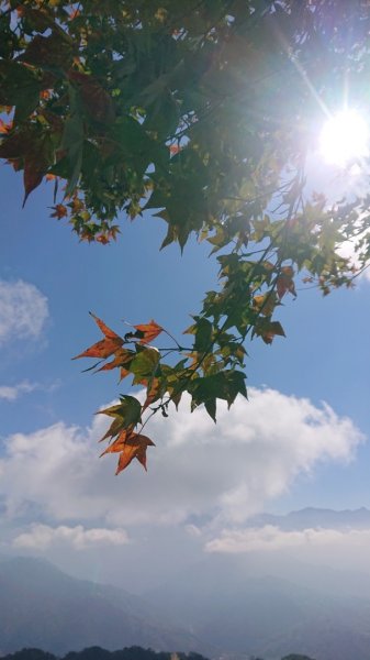 馬那邦山O走2370162