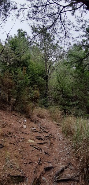 白姑大山之旅743520