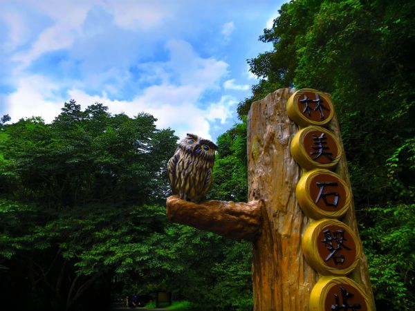 【宜蘭礁溪】清涼一夏：林美石磐步道389866