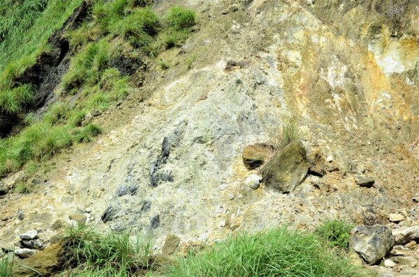 七星山主峰東峰592798