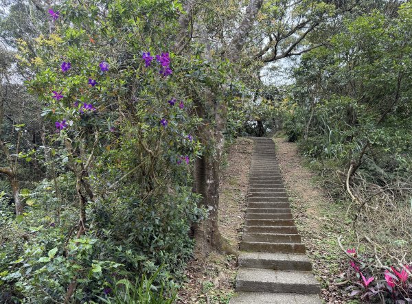 [微笑山線_第四段] 2026_0321 天上山系_石門內尖山東峰3021319